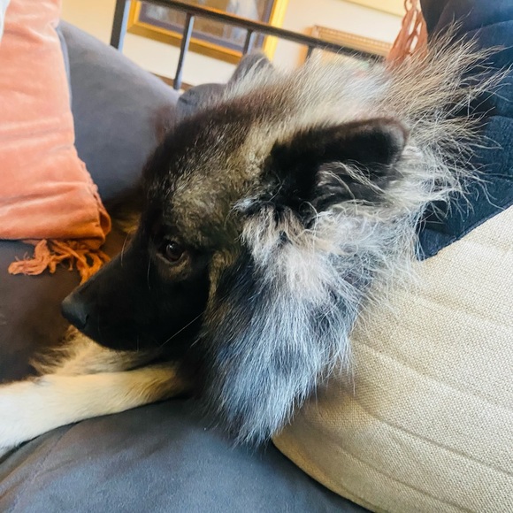 Poshmark ambassador💫 - Picture 4 of 9